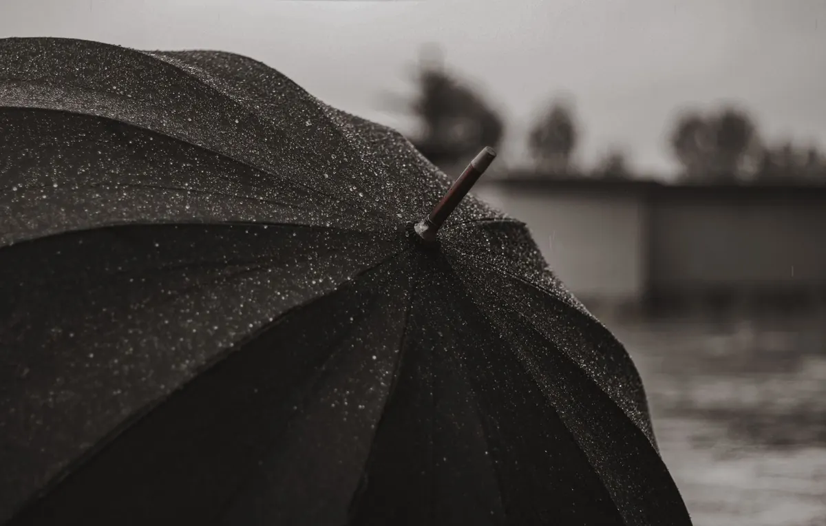 Umbrella Buying Guide for Beginners: Canopy Size, Rib Count, and Frame Materials